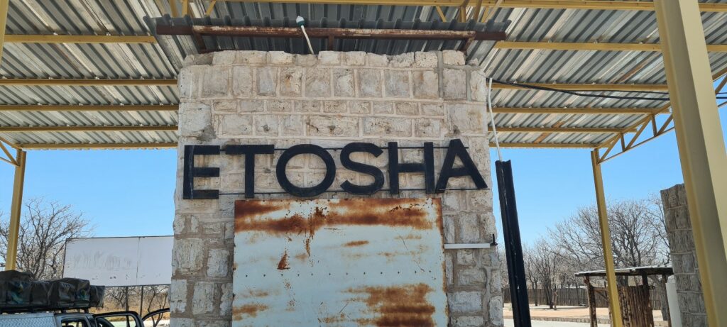 Etosha – the flying camel