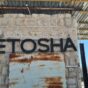 Etosha – the flying camel